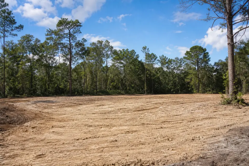 Illustrative Central Florida land clearing scene with graded soil and trees in the background